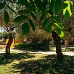 Kalypso Studio Resorts