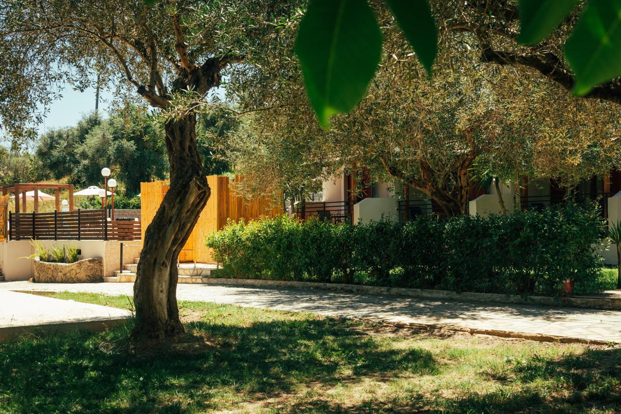 Kalypso Studio Resorts Aparthotel